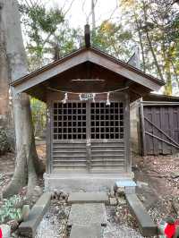 【小金井神社/東京都】緑生い茂る境内に石臼塚と弓道場