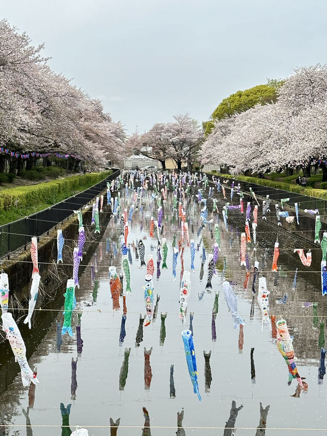 📍鶴生田川/群馬