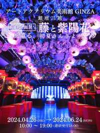 【東京】雨の日だって初夏を楽しめる✨藤×紫陽花×金魚のアートな世界を体験😍※スマホ撮影テク付 