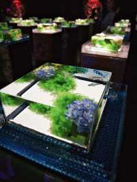 【東京】雨の日だって初夏を楽しめる✨藤×紫陽花×金魚のアートな世界を体験😍※スマホ撮影テク付 