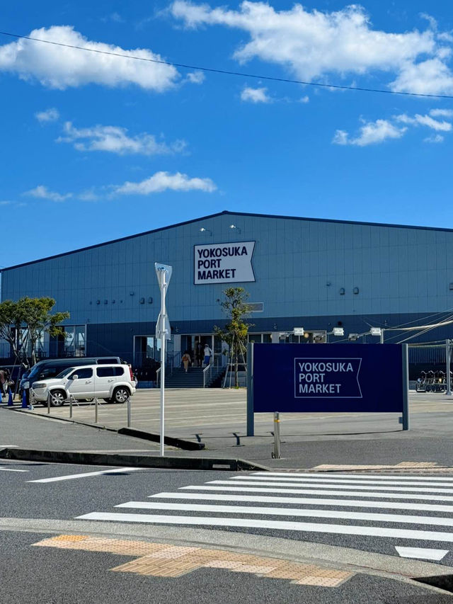 【弾丸旅行】GWも忙しい人必見🥺🌿🤍日帰りで行ける横須賀満喫プラン🚢🪼🫧【日帰り】