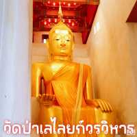 วัดป่าเลไลยก์วรวิหาร