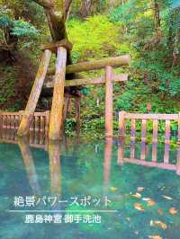 【茨城】神秘的な神社⛩最強パワースポット✨