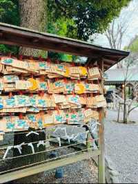 【東京・阿佐ヶ谷】日本でココだけ?!とってもかわいい御朱印とお守りが頂けるパワスポ🤍