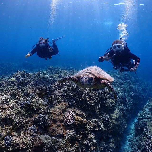 Diving in Okinawa - Kerama Islands 