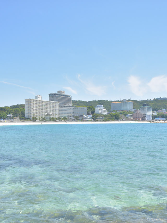 南紀白浜日帰り旅行！過去最高の満足度