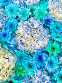 【紫陽花に変化‼️花手水で有名の法輪寺】