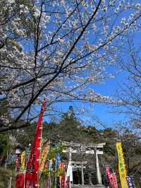 【福岡神社】日本一の大縄のある神社⛩光の道も有名なところです✨