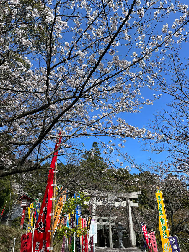 【福岡神社】日本一の大縄のある神社⛩光の道も有名なところです✨