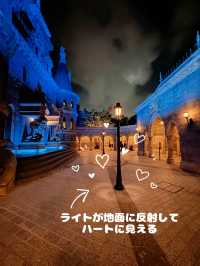 【ディズニー攻略】美女と野獣の攻略法🤍