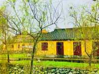 A journey into a unique cultural gem of Vietnam 🇻🇳 