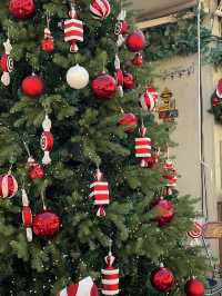 🫧 부산에서 제일 먼저 크리스마스를 볼 수 있는 곳🎅🏻🎄