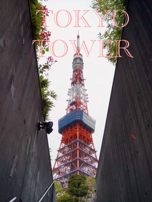 ไปเที่ยว Tokyo tower กัน 🗼 