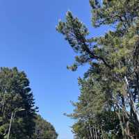 [부산 해운대 블루라인파크] 열차타고 원없이 보는 바다🏖️