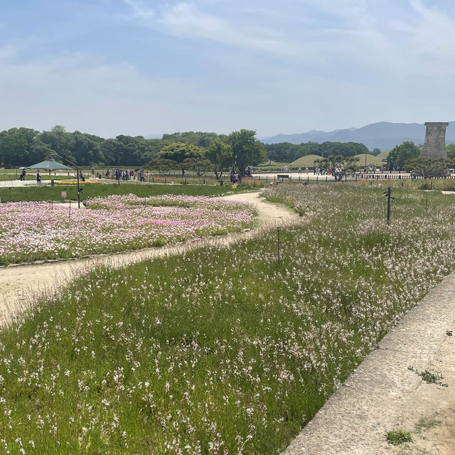 古都を満喫！慶州　東洋最古の天文台【瞻星台】昼と夜