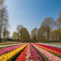 Riverview Park：繽紛花海、夏日休憩的仙境般花園