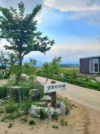 초록지붕집이 동화속 느낌 고성 앤트리카페💚