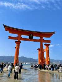 朝昼晩干潮満潮いつ行っても美しい厳島神社