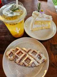 คาเฟ่ แคทตัท นนท์