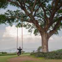 ที่พักเขาใหญ่
