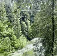 North Vancouver에 자연경관이 멋진 공원Capilano suspension Bridge Park