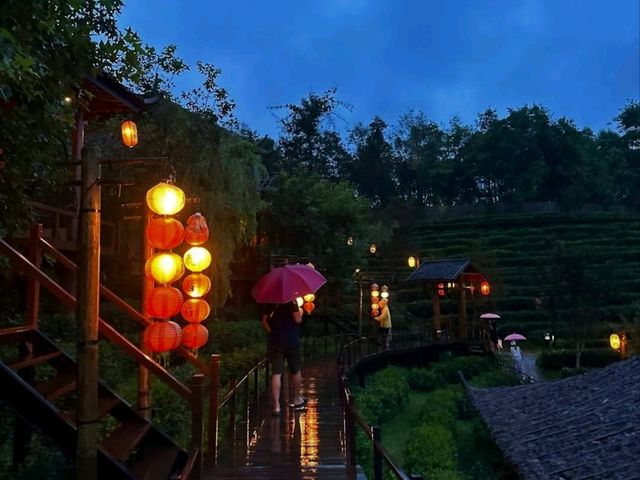 ขึ้นดอยหน้าฝน⛈️  พักบ้านดิน เดินเก็บยอดใบชา🍃