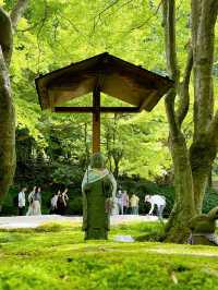 【鎌倉】季節ごとの花が楽しめる［日本遺産］明月院