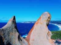 The Remarkable Rocks