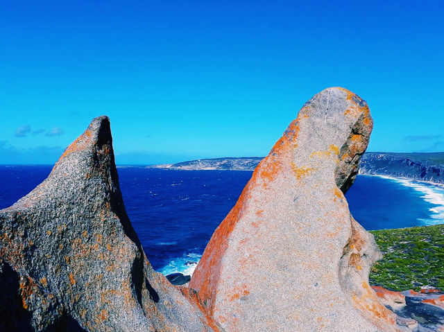 The Remarkable Rocks