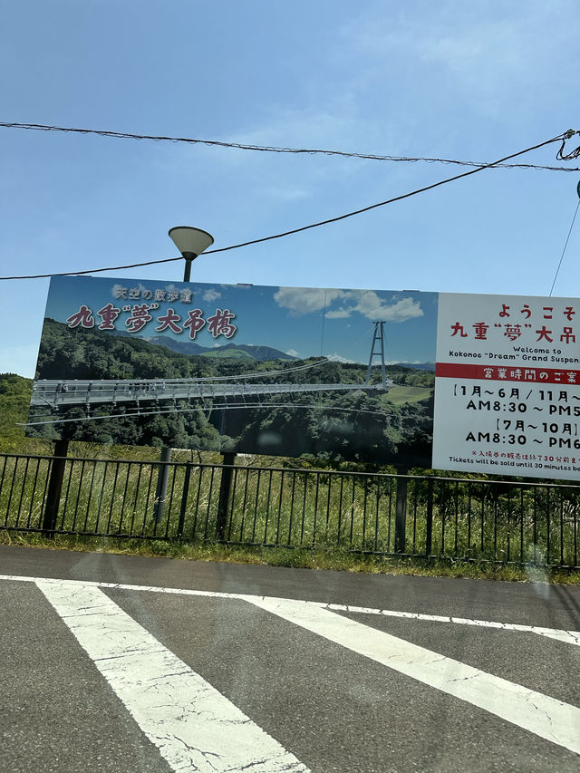 【大分観光/自然】
