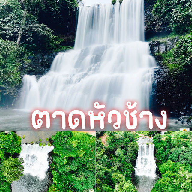 ตาดหัวช้าง