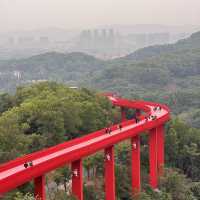 สะพานแดง ในป่าเมืองจีน深圳树林里的红色桥
