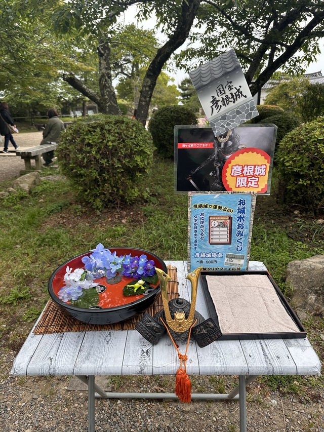 【滋賀観光】