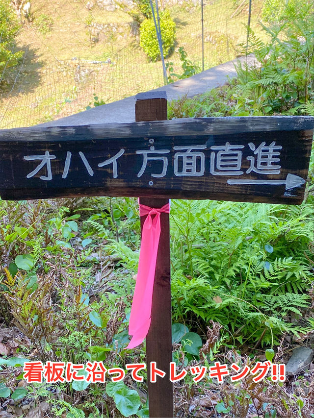 【三重 尾鷲市】本当は秘密にしておきたいとっておきの絶景スポット オハイ(大配)