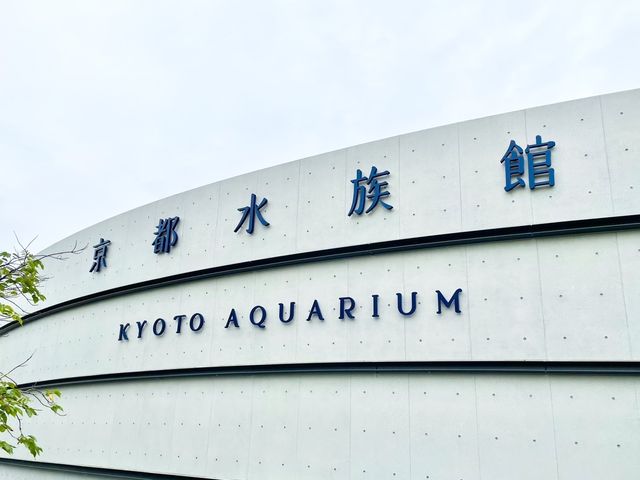 【京都】京都駅から歩いてもいける水族館