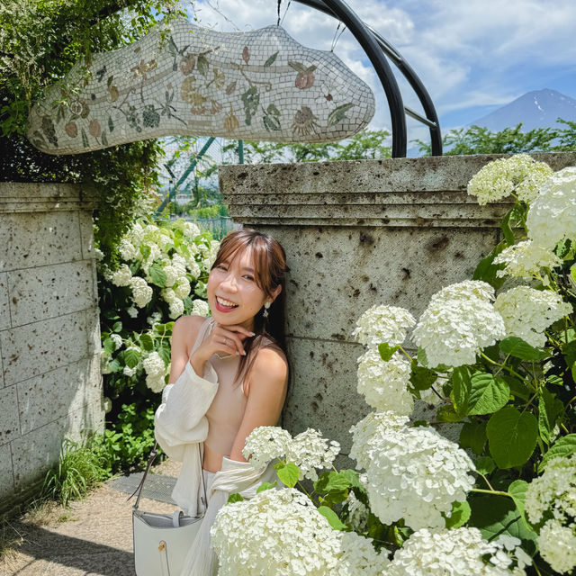 富士山河口湖近年新開張的「富士大石花園平台」