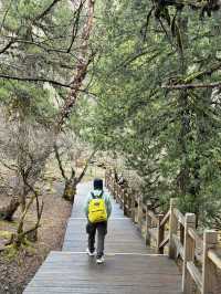 ฉางผิงโกว …เส้นทางเดินป่าที่สวยและฟินมาก🌲
