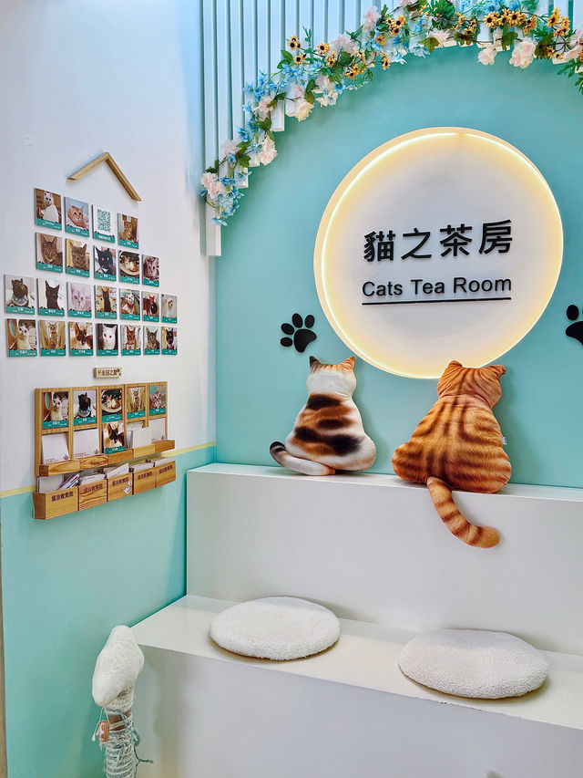 環境好好嘅貓cafe🐱