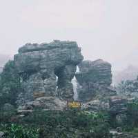 ป่าหินในสายหม่านหมอก