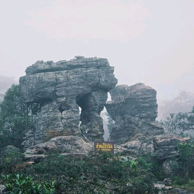 ป่าหินในสายหม่านหมอก