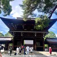 Discover Serenity at Meiji Jingu Shrine! 🌿⛩️