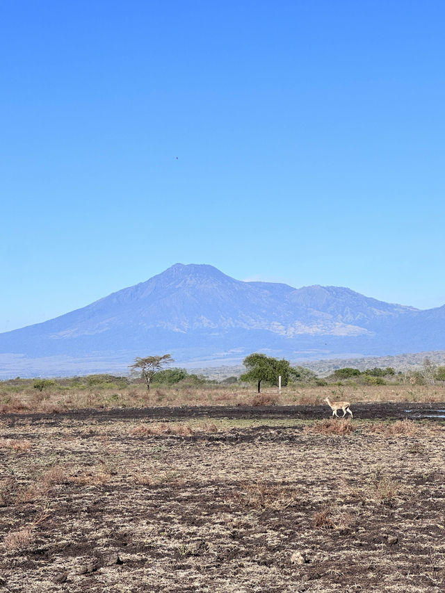 Get in touch with nature at Baluran National Park