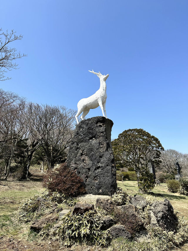 🇰🇷 濟州 韓國最高山漢拿山 🏔️ 最短登山徑⛰️