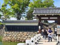 Matsumoto Cystle 