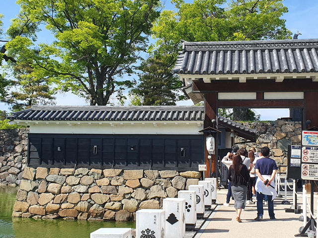 Matsumoto Cystle 