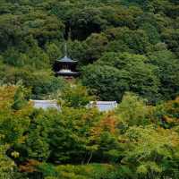 善德寺🏛️古雅寧靜