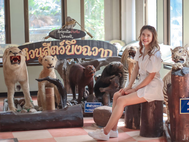 รีวิว เที่ยวสวนสัตว์ บึงฉวาก 🐅🦓🦒