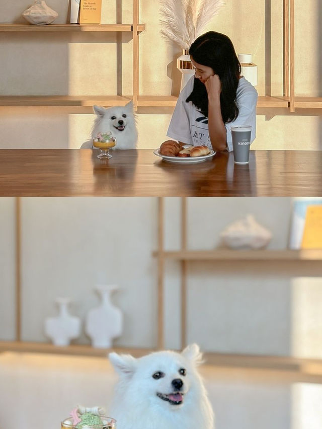 우리집 강아지랑 완벽한 호캉스를 위한 곳✨