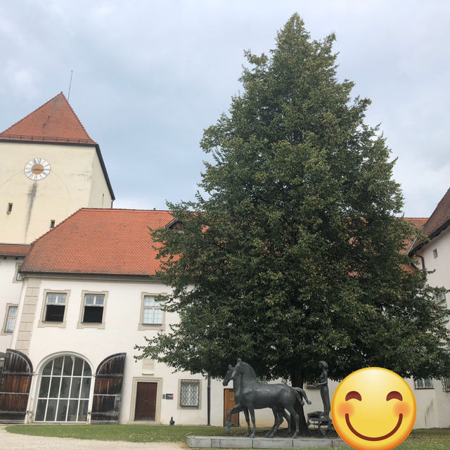 Passau 캐슬보고 도나우 강에서 칵테일 한잔