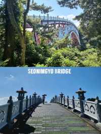 🇰🇷 Seonimgyo Bridge 📍Jeju Island